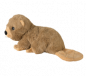 Preview: Biber