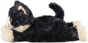 Katze
