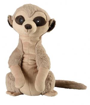 Erdmännchen