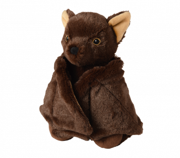 Fledermaus