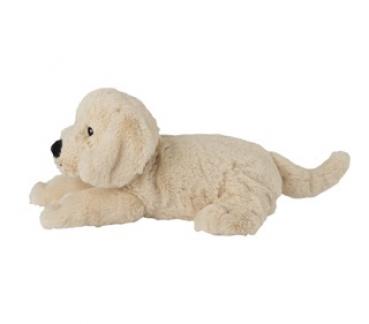 MINIS Golden Retriever