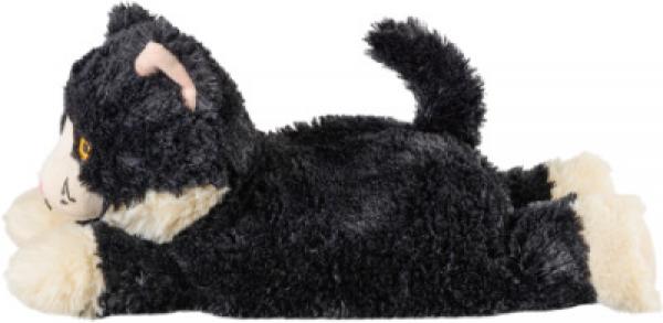 Katze